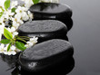 Spa stones and white flowers on dark background