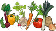 Vektor: vegetables big group cartoon illustration vegetables big group cartoon illustration