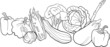 vegetables group illustration for coloring book