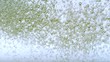 Green bubbles in water