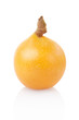Photo: Loquat isolated on white, clipping path included Loquat isolated on white, clipping path included