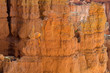 Bryce Canyon National Park in Utah