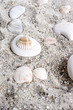 Sand Background