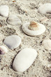 Sand Background