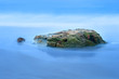 Reef and ocean