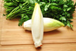 Two Endive with Fresh Italian Parsley