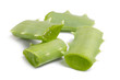 Aloe vera leaf