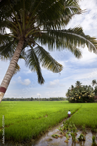 Photo: Farmers Farmers