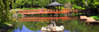 Japanese bridge in the garden