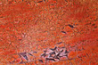 Abstract old rusty metal background