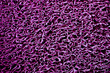 Violet Vinyl dust trap carpet background