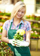 Photo: Female florist or gardener in flower shop or nursery Female florist or gardener in flower shop or nursery