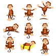 Vector: Monkey with different expression Monkey with different expression