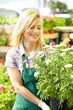 Photo: Female florist or gardener in flower shop or nursery Female florist or gardener in flower shop or nursery