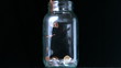 Coins pouring into glass jar
