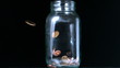 Many coins pouring into glass jar