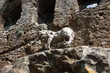 Leone del Bernini