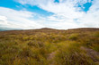 Scottish mountain field with grass and moores