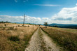 wild rocky path among mountain