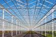Photo: Partly empty greenhouse against a blue sky Partly empty greenhouse against a blue sky