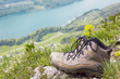 Wanderpause