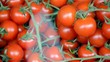 Tomaten