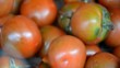 Tomaten
