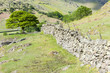 landscape of Lake District, Cumbria, England
