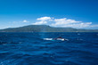 Foto: sea sea