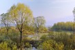High Water in Spring