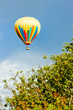 hot air balloon, Provence, France