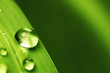 big water drop