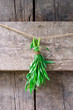 A bunch of fresh tarragon on the wooden background