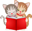 Cats reading a book
