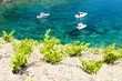 vineyard on Cap de Peyrefite near Cerbere, Languedoc-Roussillon,