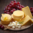 Various types of cheese