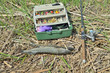 fish and fishing equipment