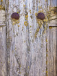 Old Weathered Wooden Door