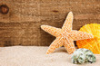 Sea star and shells