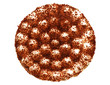 Tiramisu cake