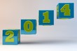 2014 New Year