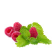raspberry with mint leaves isolated on white