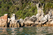 seal basking on rocks in Abel Tasman National Park