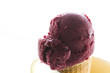 Gourmet gelato