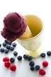 Gourmet gelato