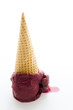 Gourmet gelato