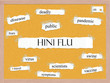 H1N1 Flu Corkboard Word Concept