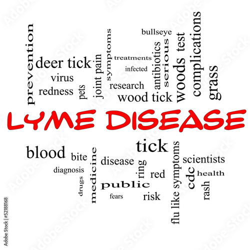 Illustration: Lyme Disease Word Cloud Concept in red caps Lyme Disease Word Cloud Concept in red caps