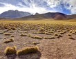 Eduardo Alveroa, Uyuni Bolivia