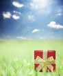Photo: Present on grassy background Present on grassy background